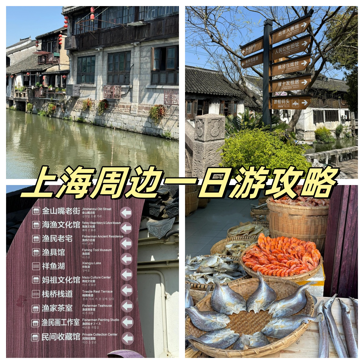 我错了 上海金山,一座小小的城市原来这么好玩