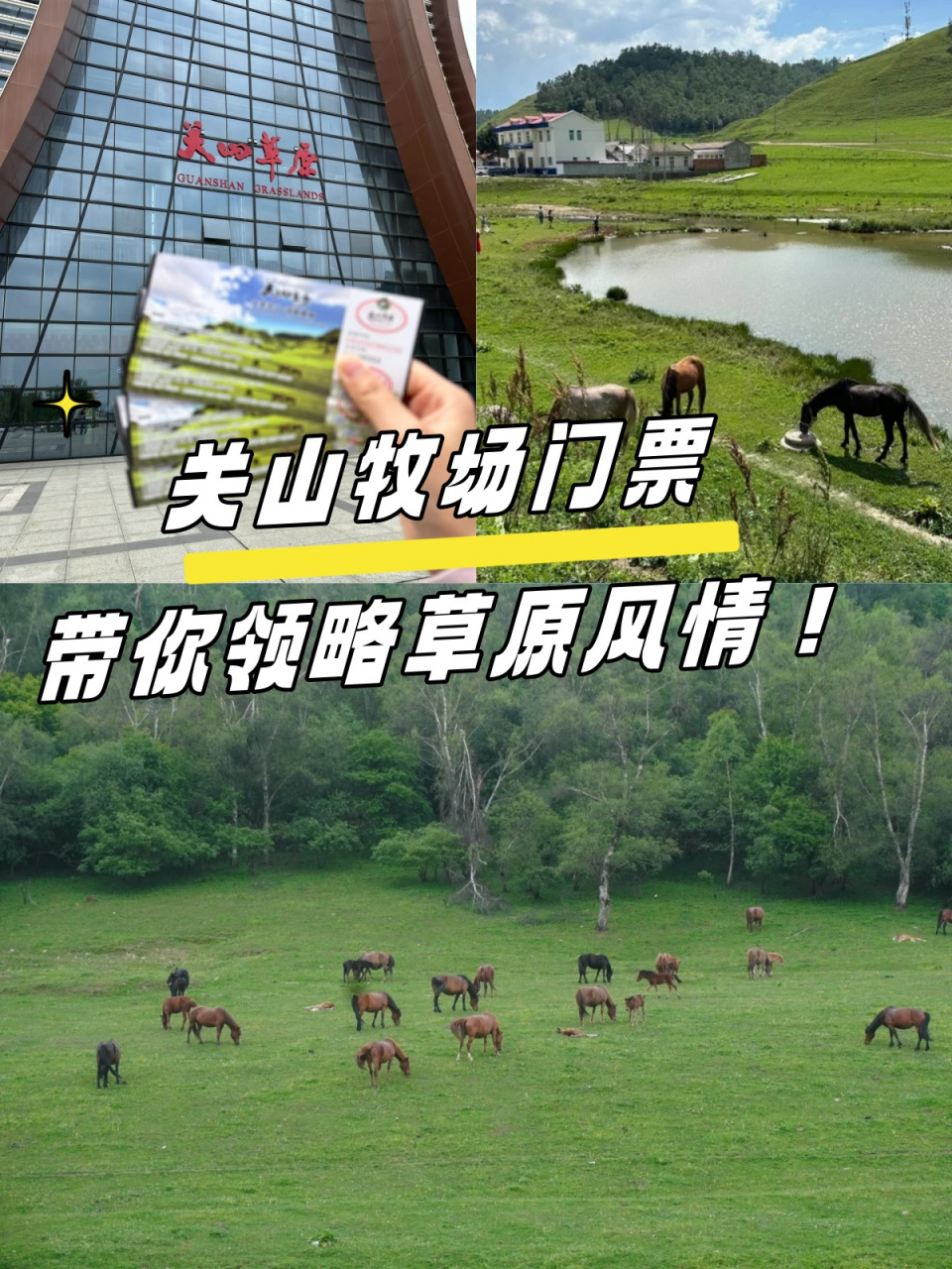 关山牧场门票,带你领略草原风情!