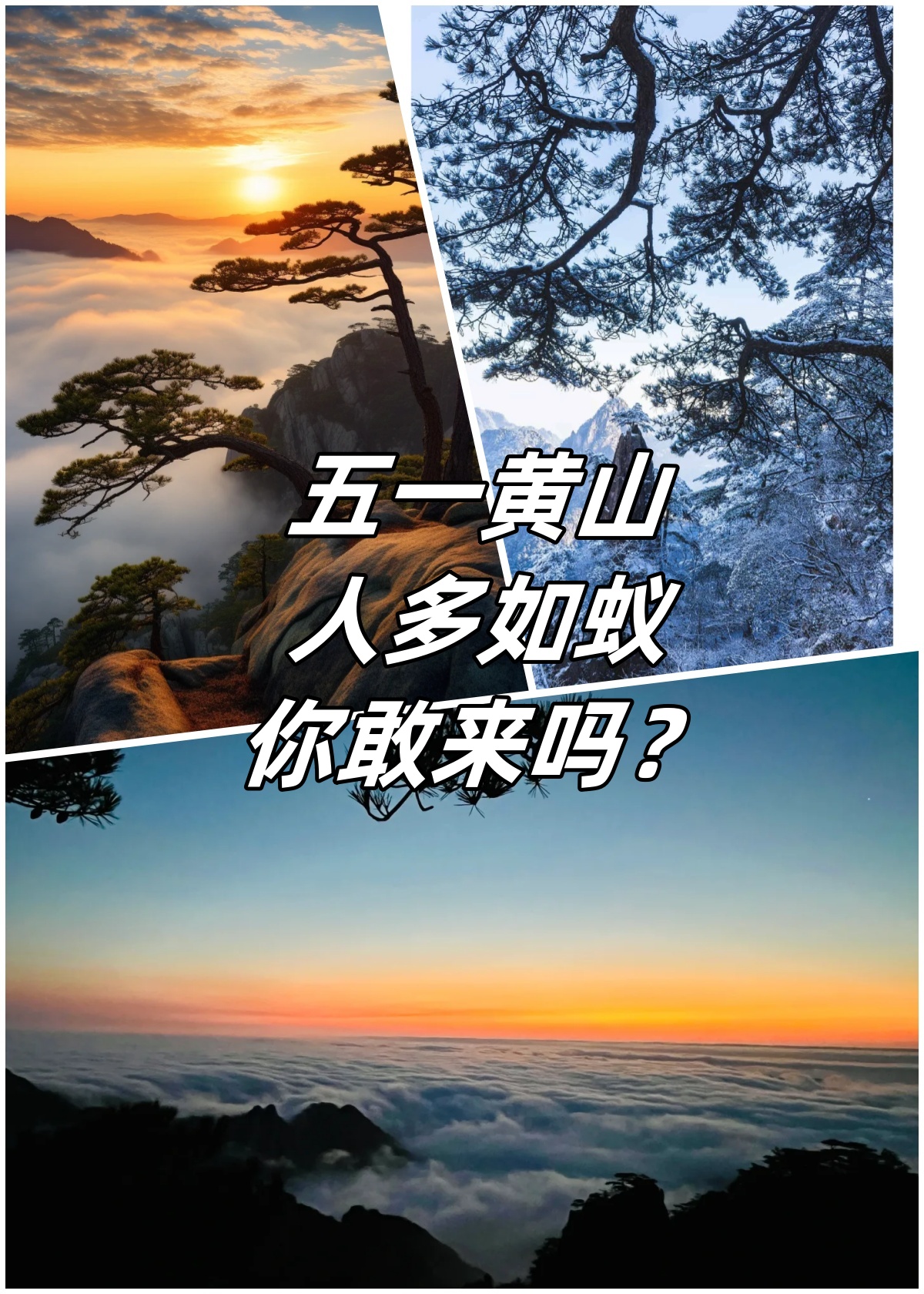 五一黄山,人多如蚁,你敢来吗?  我去年就勇敢地来了!