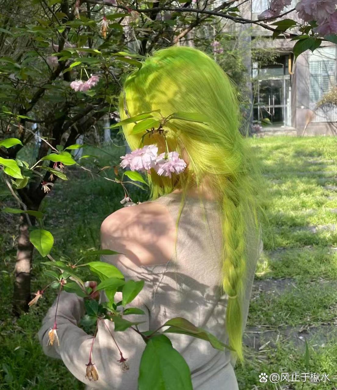 真不是绿色头发不好看,主要还是得看人啊.