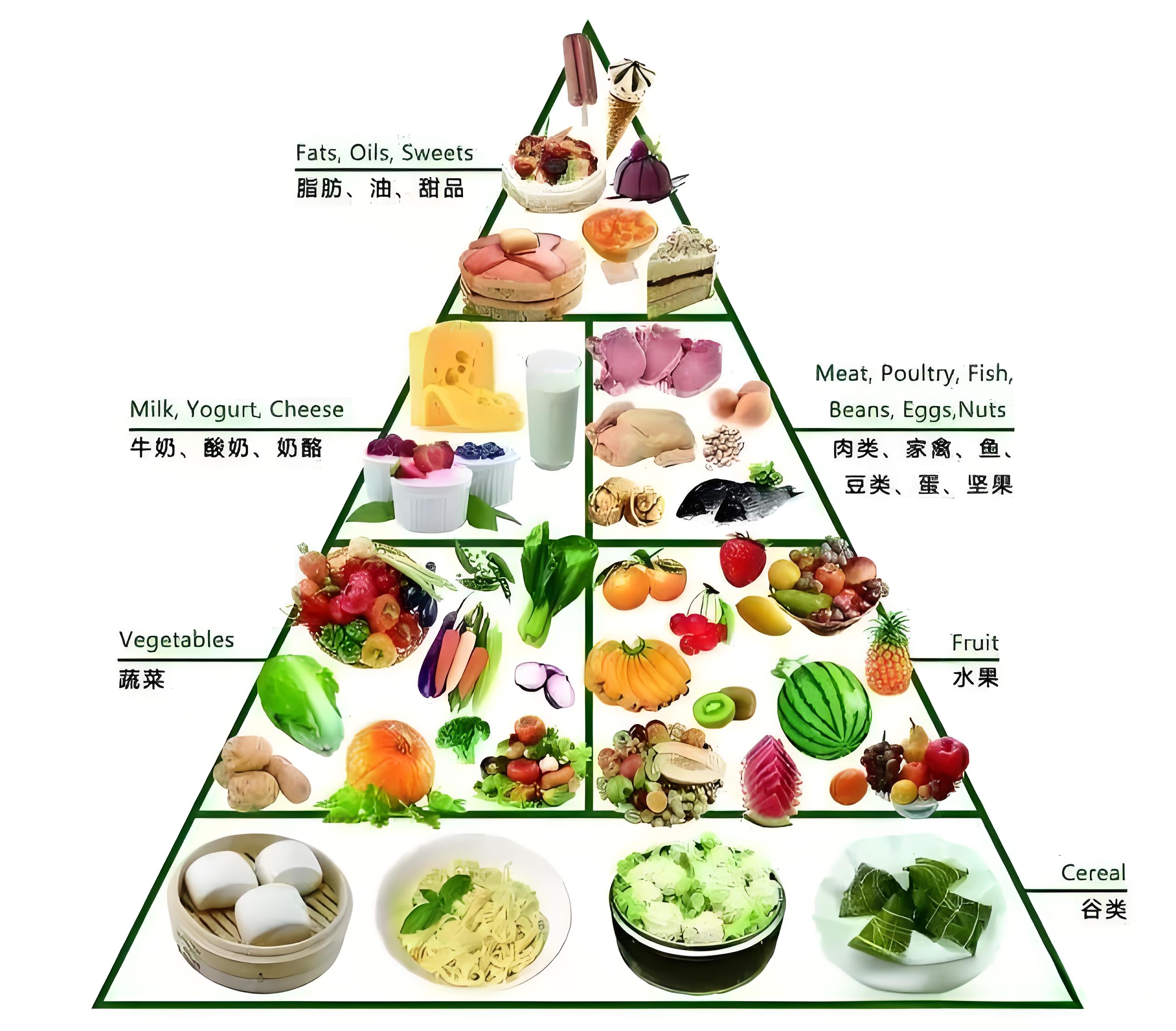 膳食营养搭配