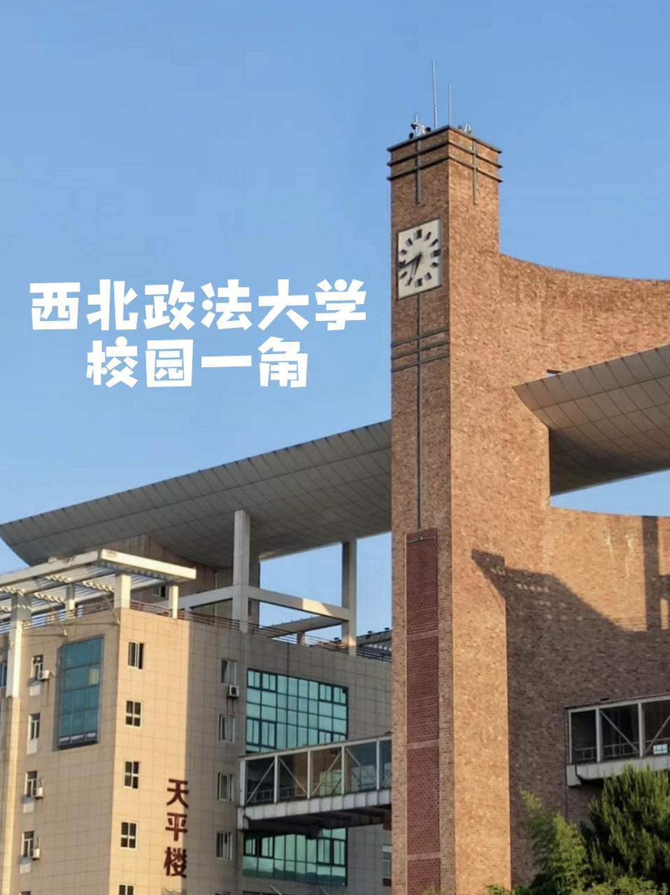 西北政法大学算名校吗图片