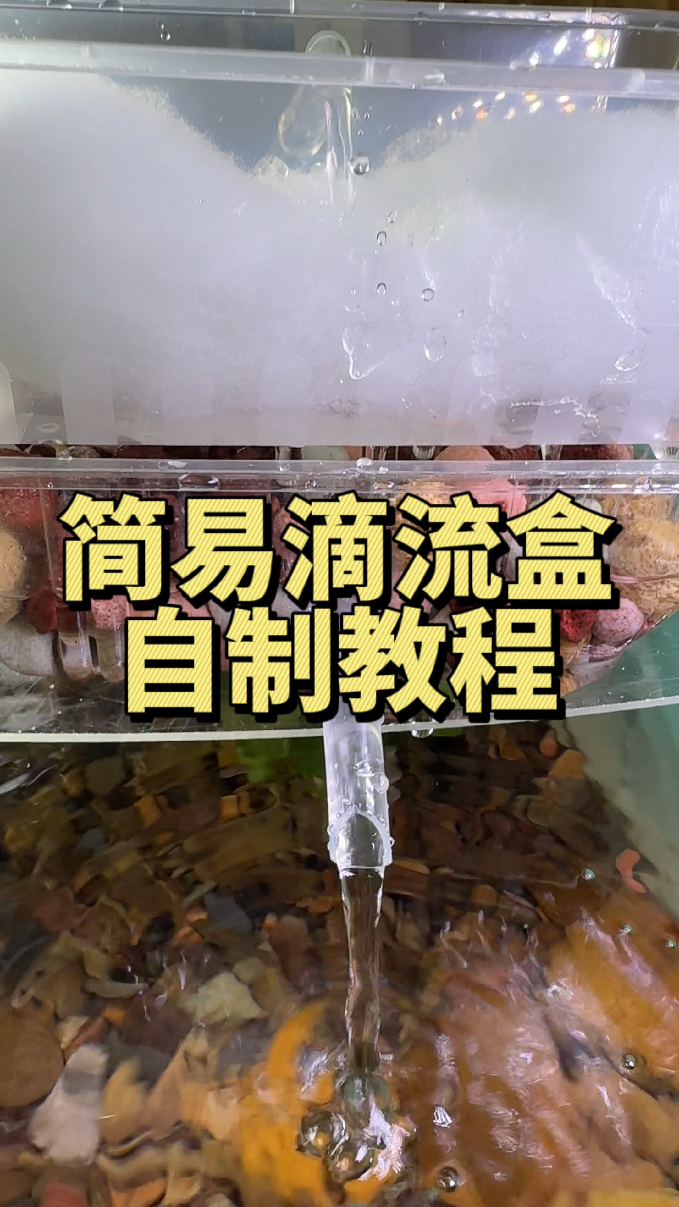 超简滴流盒自制教程来啦#观赏鱼 #养鱼日记 #手工diy-度小视