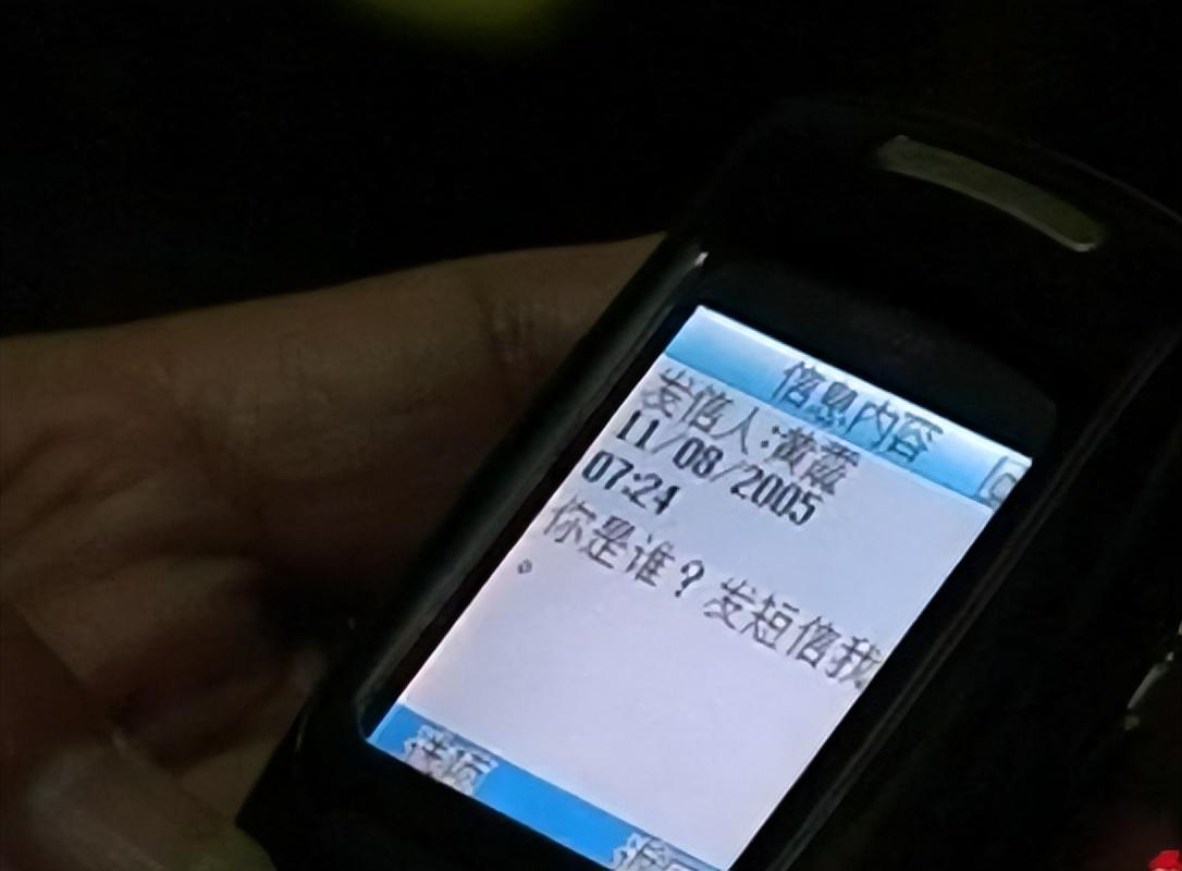 天堂来电:火化的手机