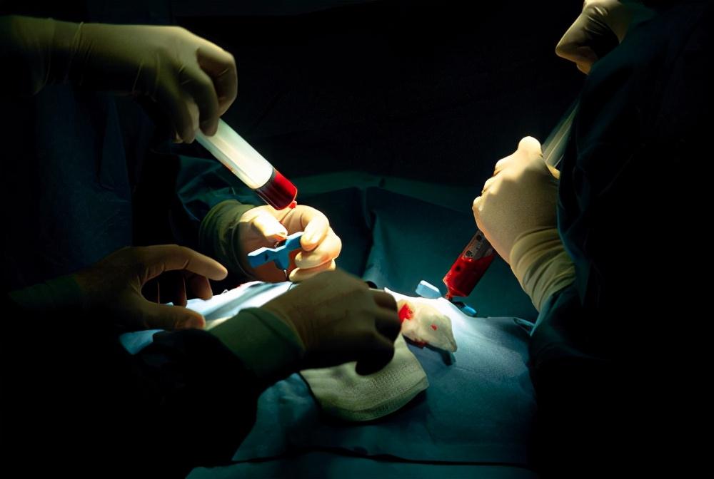 回顾小伙犯罪入狱,5年无人探望,弟弟患白血病来求救,结局感人