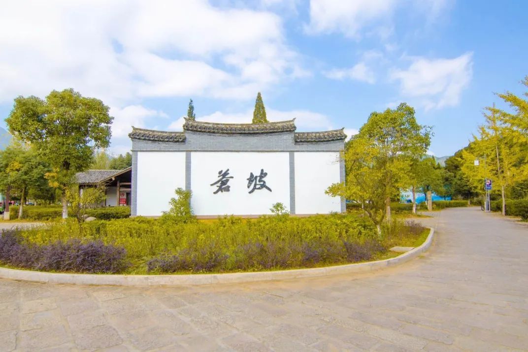 苍坡古村位于浙江南部,拥有800年历史,被誉为"文房四宝"的化身.