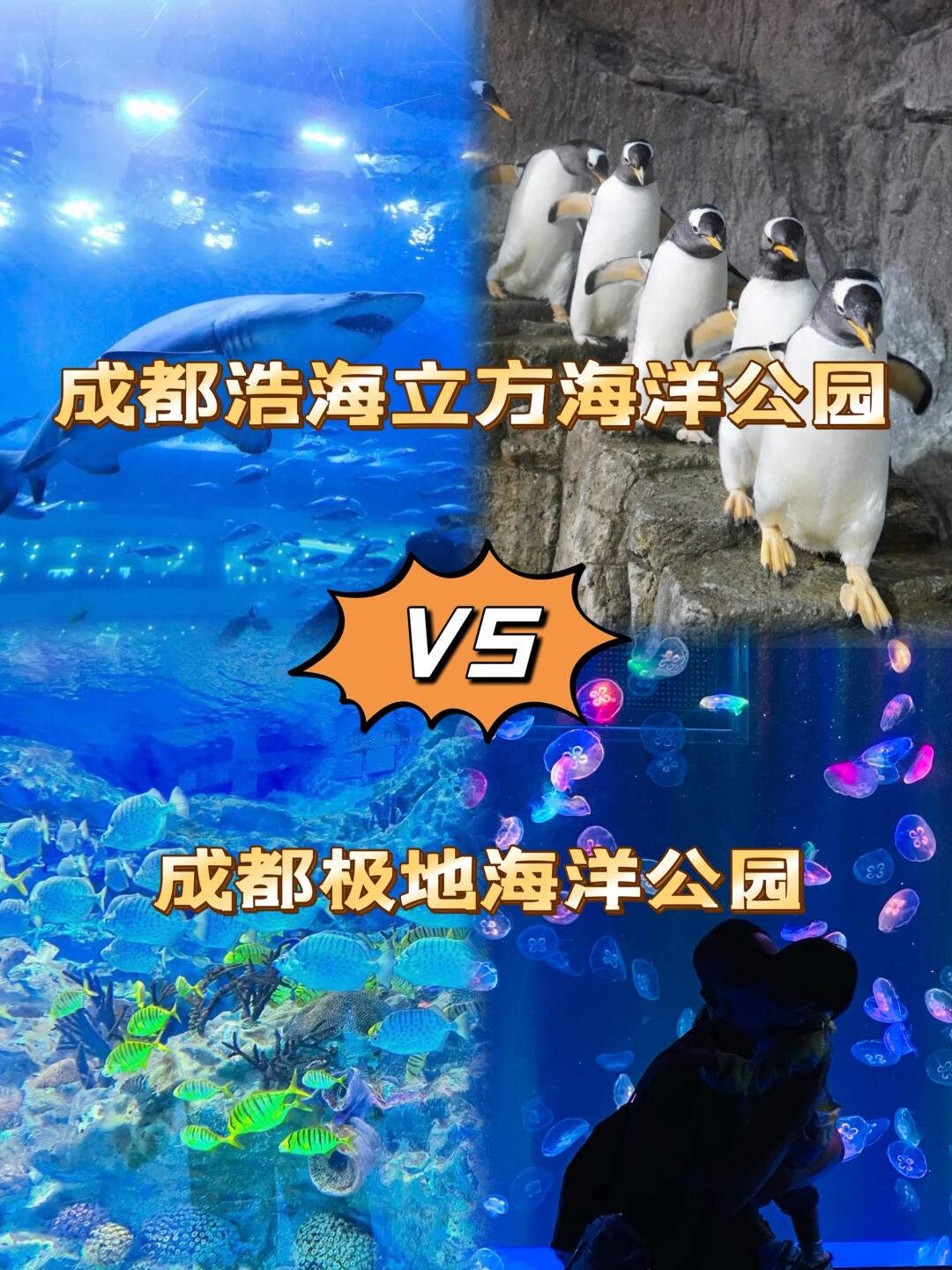 成都浩海图片