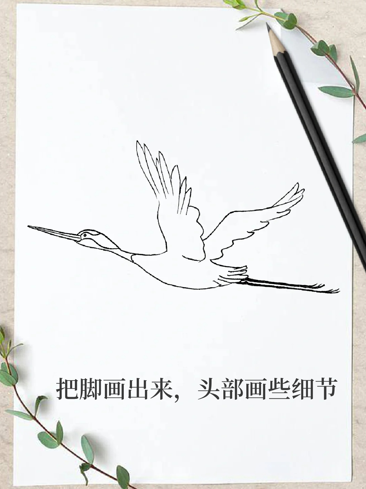 怎么画简单又仙气鹤的简笔画鹤怎么画丹顶鹤怎么画仙鹤怎么画简笔画