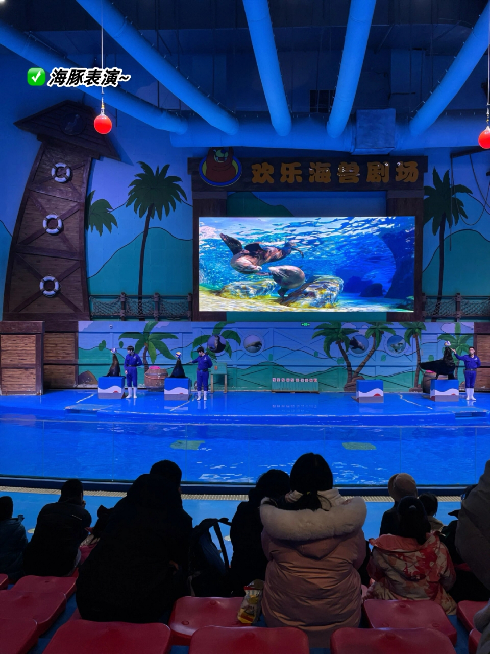 石家庄动物园海洋馆保姆级攻略  78是谁说石家庄没有好玩的海洋馆?