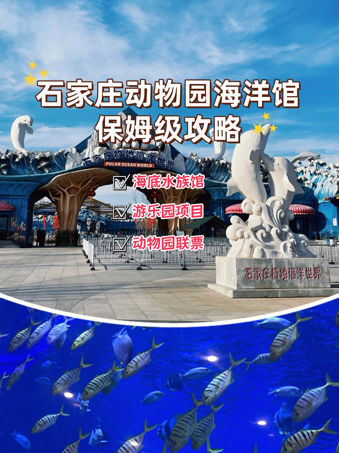 石家庄动物园海洋馆保姆级攻略  是谁说石家庄没有好玩的海洋馆?