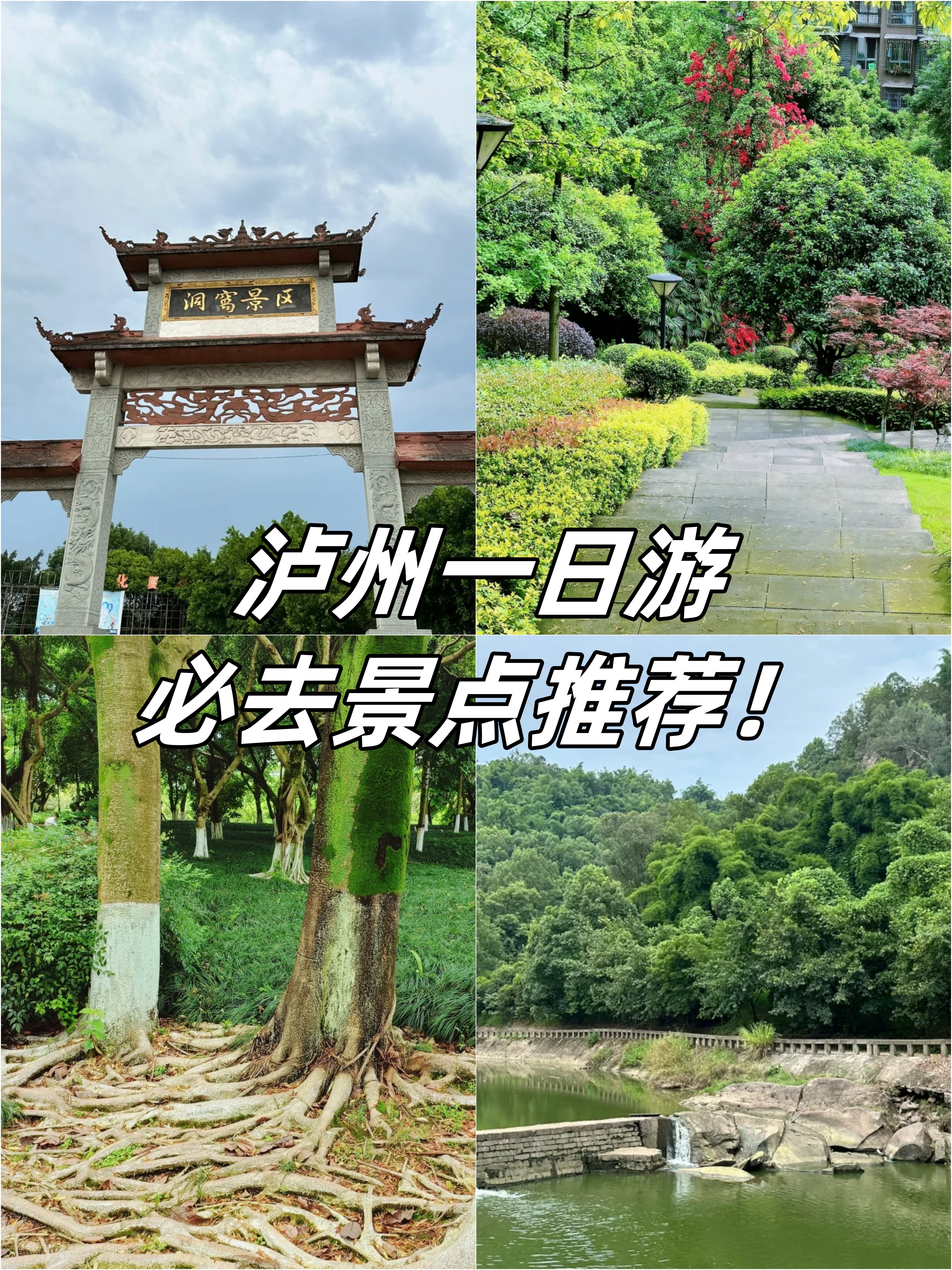 泸州免费景区图片