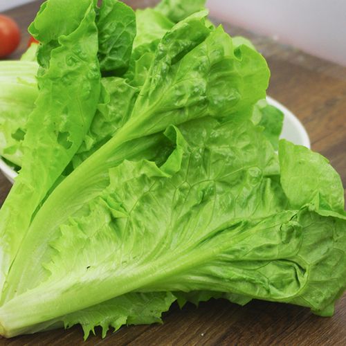 春困秋乏,一道葱油罗马生菜拯救你的味蕾