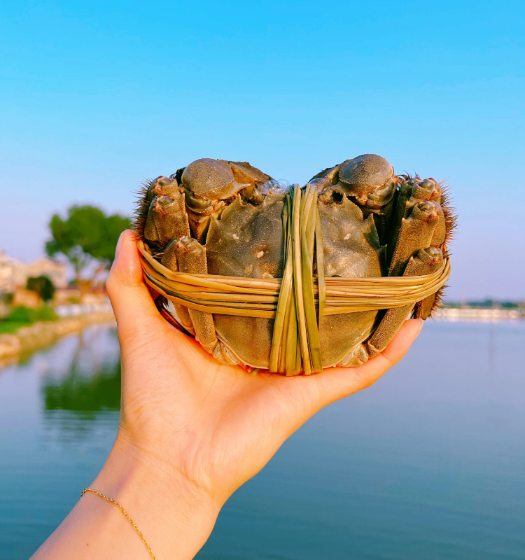 固城湖,位于南京市高淳区,是著名的固城湖大闸蟹的故乡