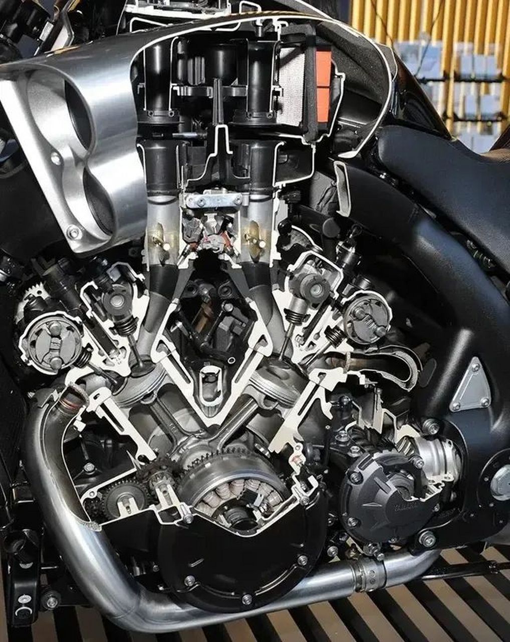 雅马哈 vmax 剖面