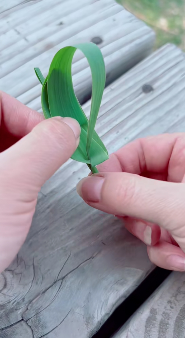 芦苇折小船,折的漂亮,跑得也是是真快[good][good][good]