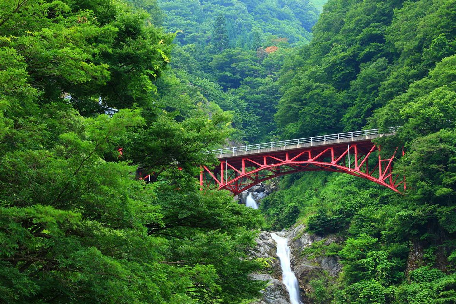 长沙限定春色