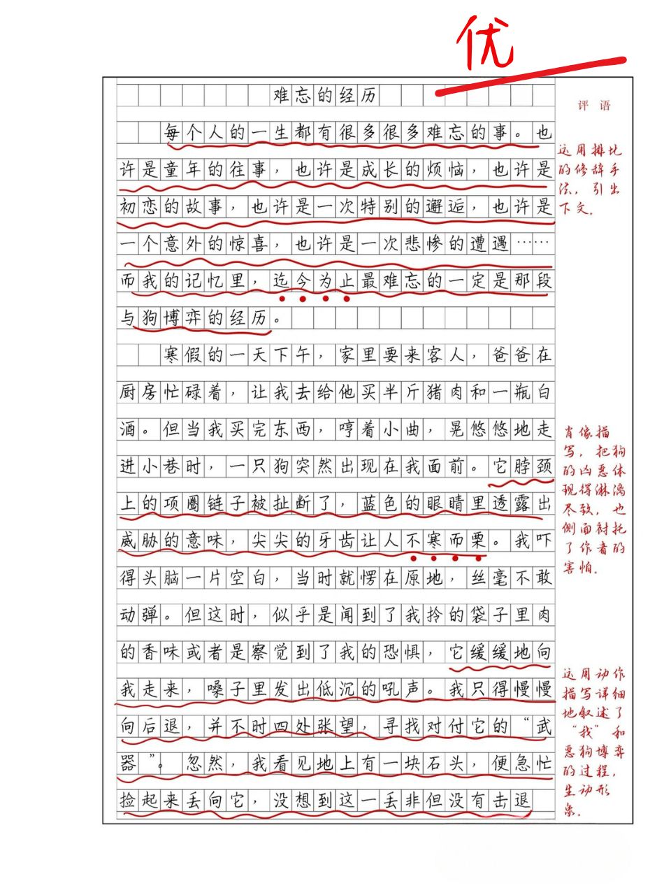 记叙类作文《难忘的经历》 怎样写好记事作文呢?