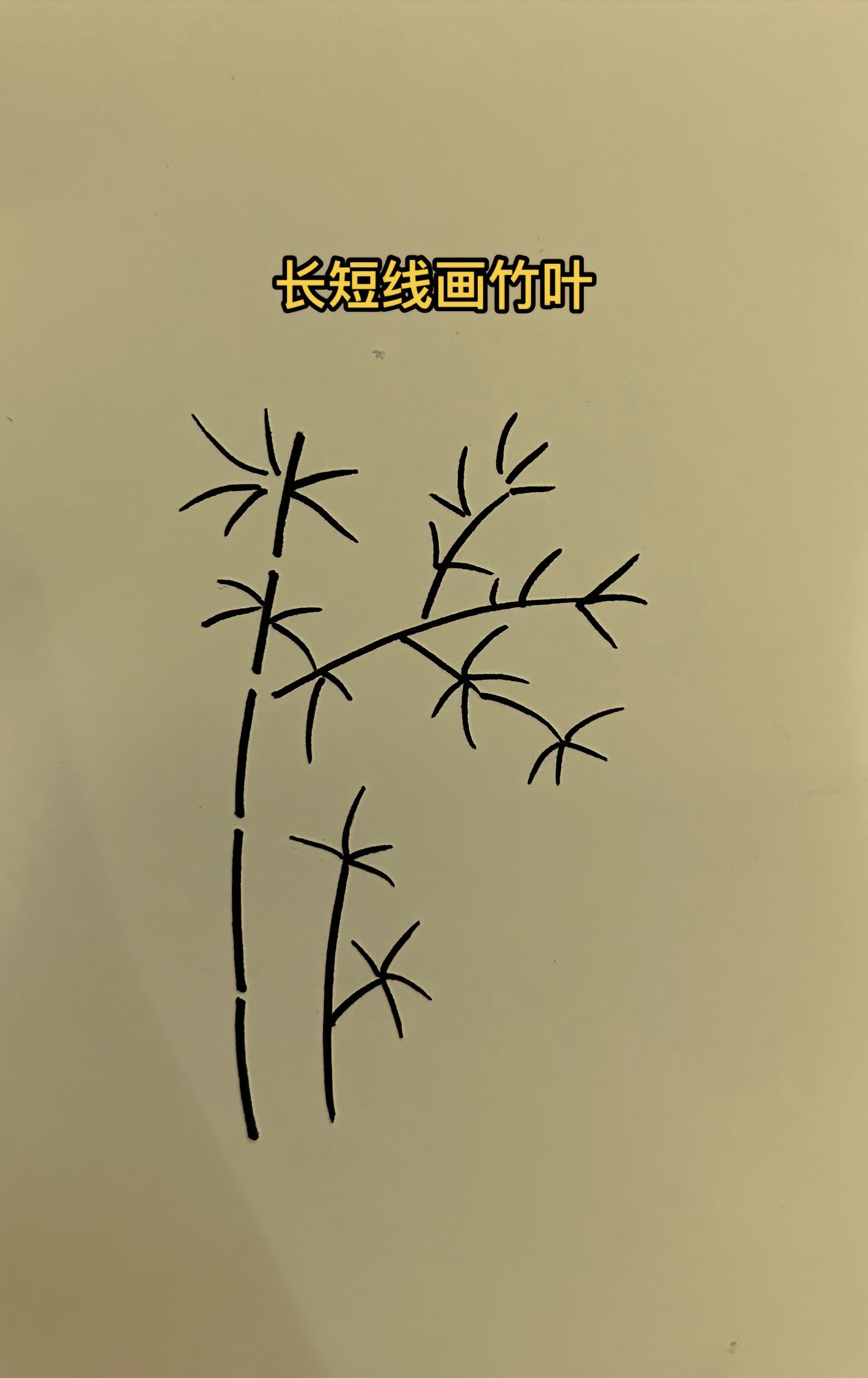 竹叶 4 最后,给你的竹子上色,让它更加芍褡 简笔画竹子怎么画竹子的简