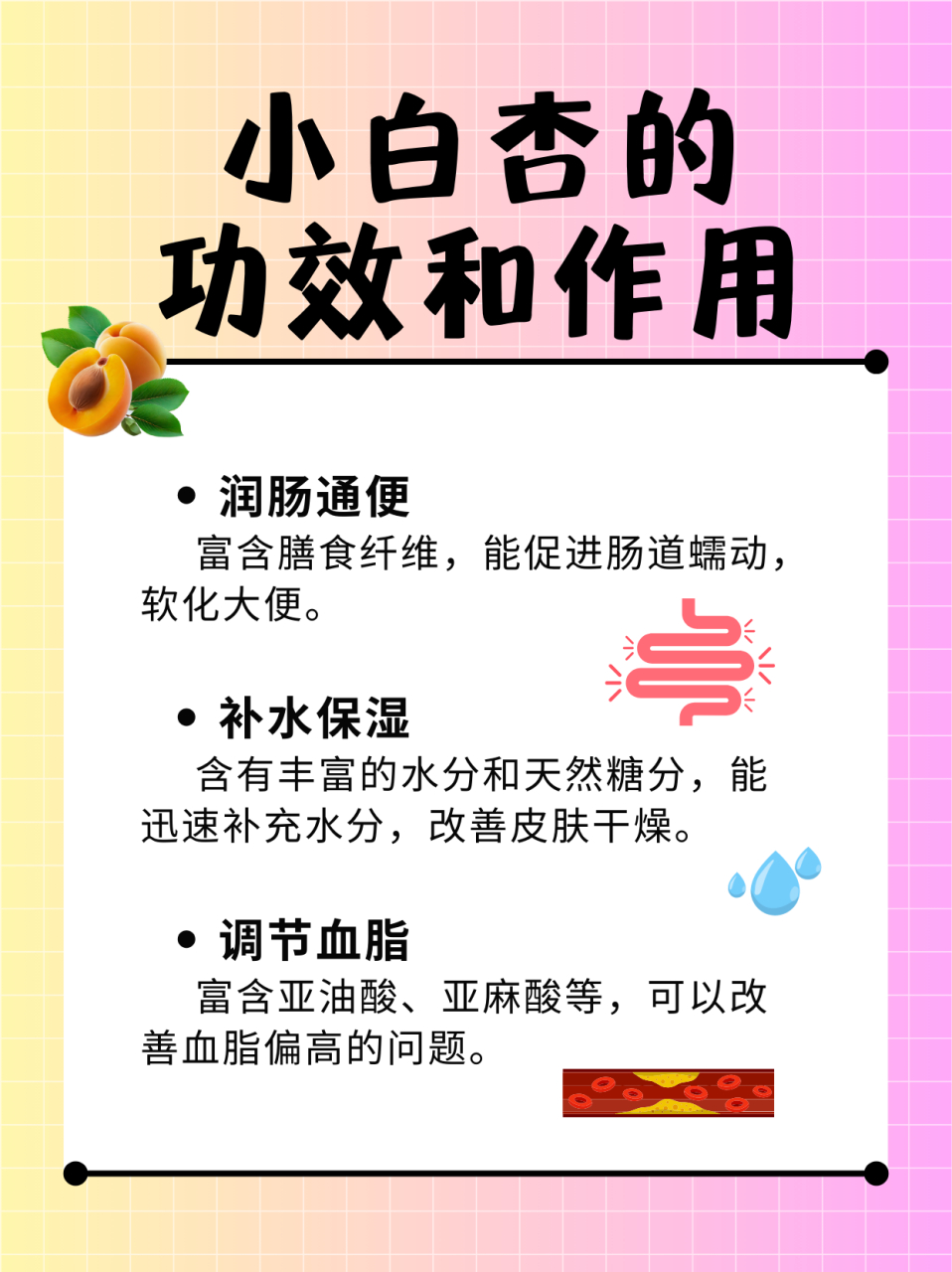 97健康又美味,小白杏的神奇功效你了解吗?