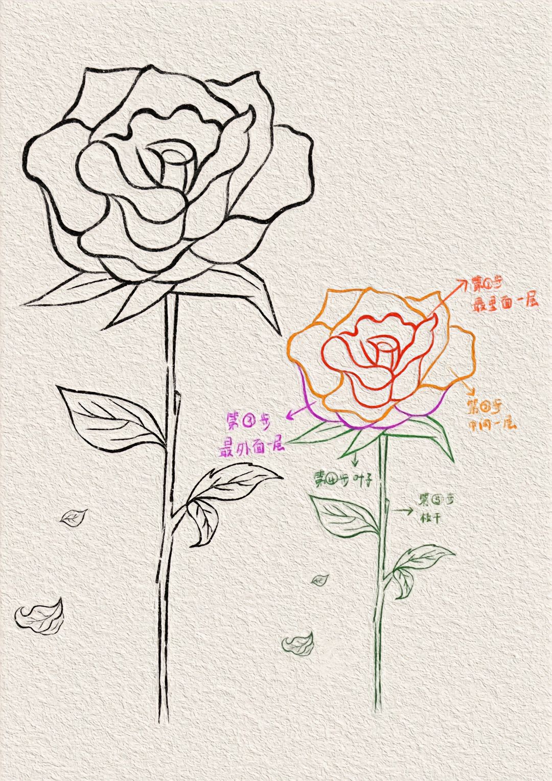 玫瑰花简笔画  大家好