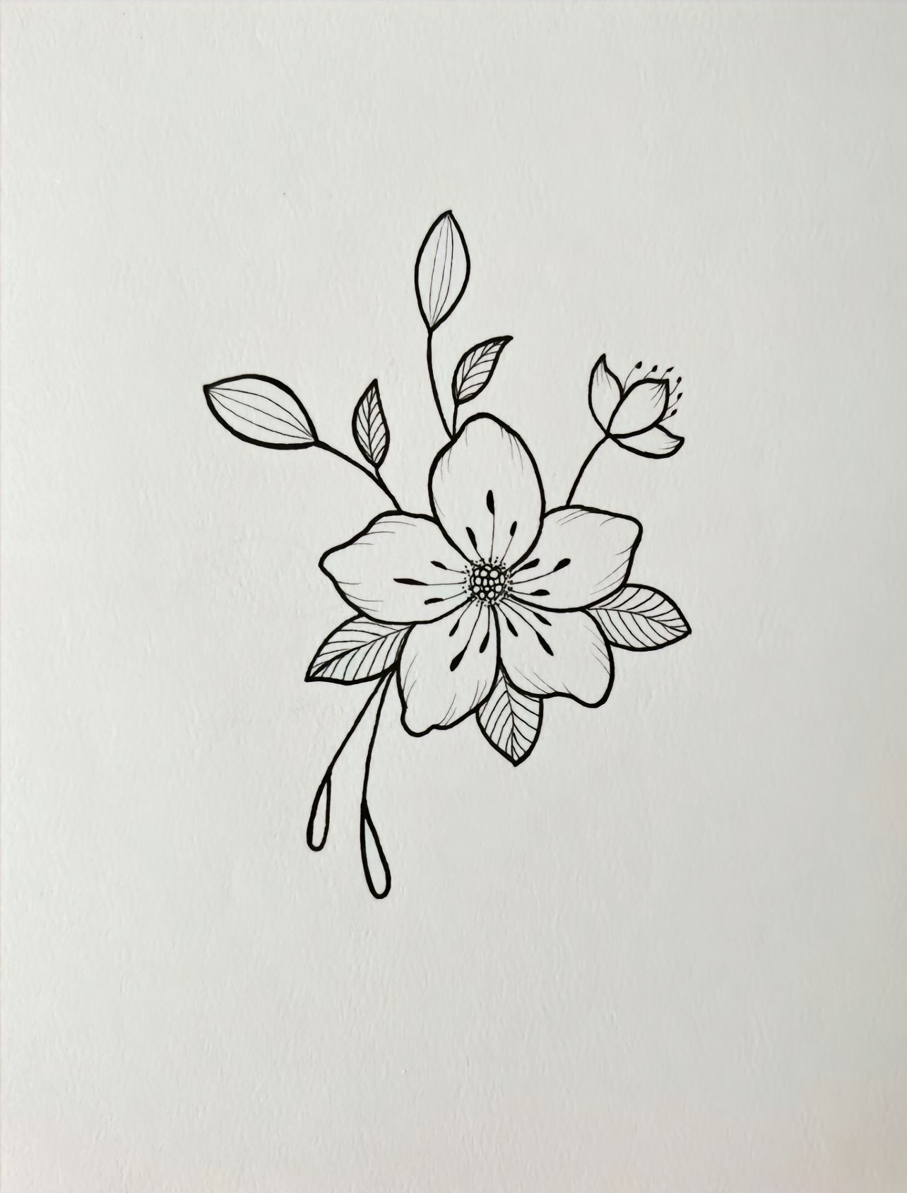 首先,我们画一个圆形作为花的中心,然后在周围加上几个花瓣形状