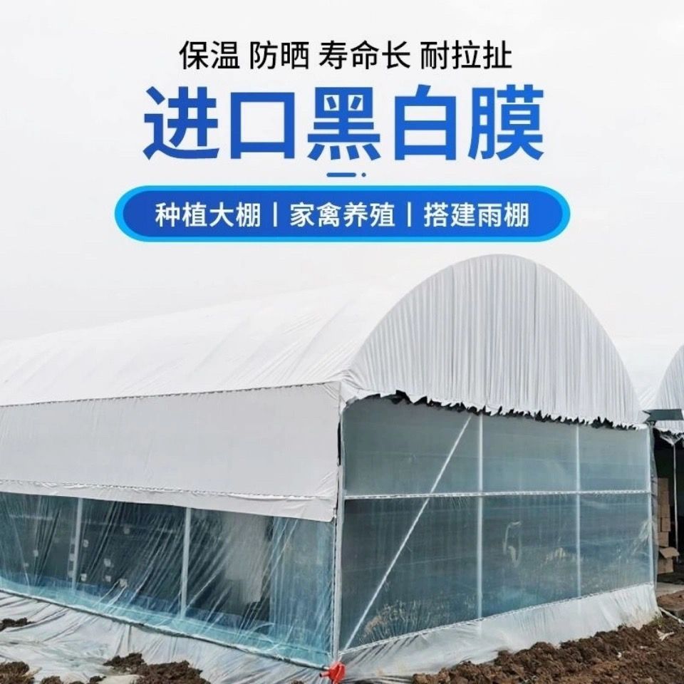 养殖大棚黑白膜