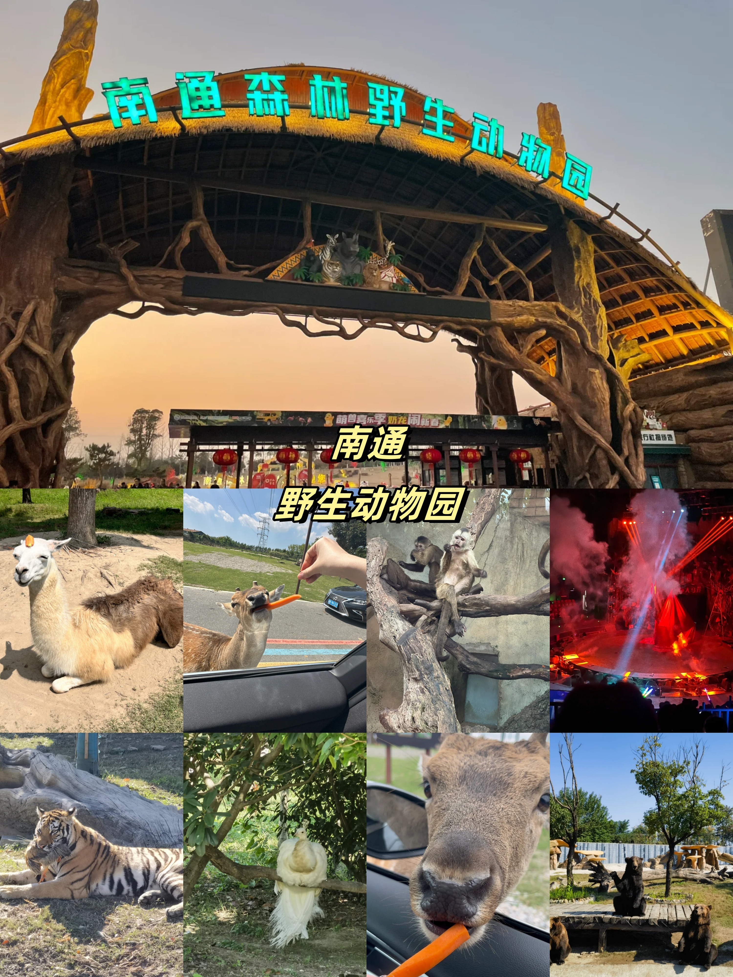 建议收藏  南通森林野生动物园,真的很好玩,非常值得推荐.