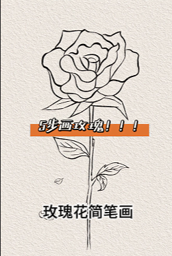 花瓣简笔画 简单图片