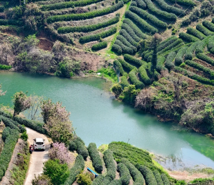 杭州拔山图片