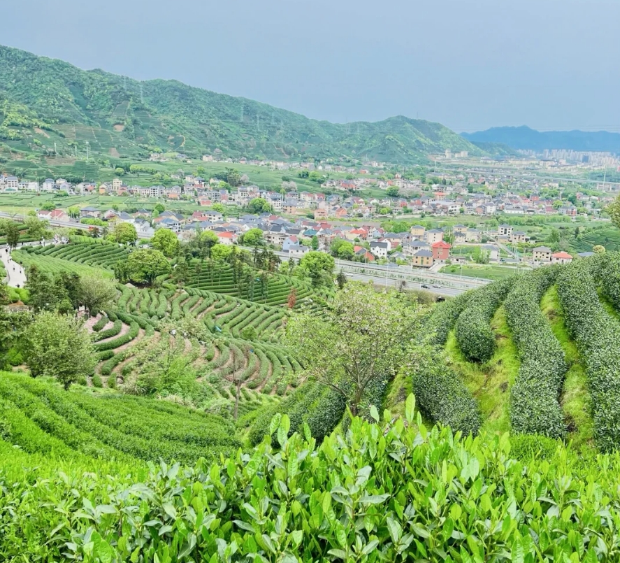 杭州拔山图片