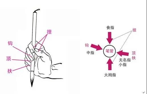 毛笔的正确执笔方法