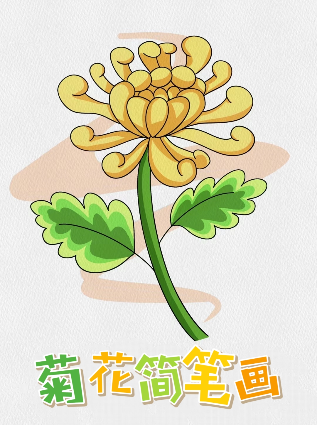 菊花简笔画   菊花绽放