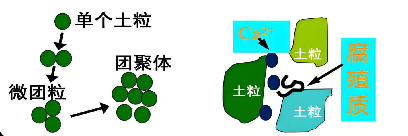 土壤水稳性大团聚体分析