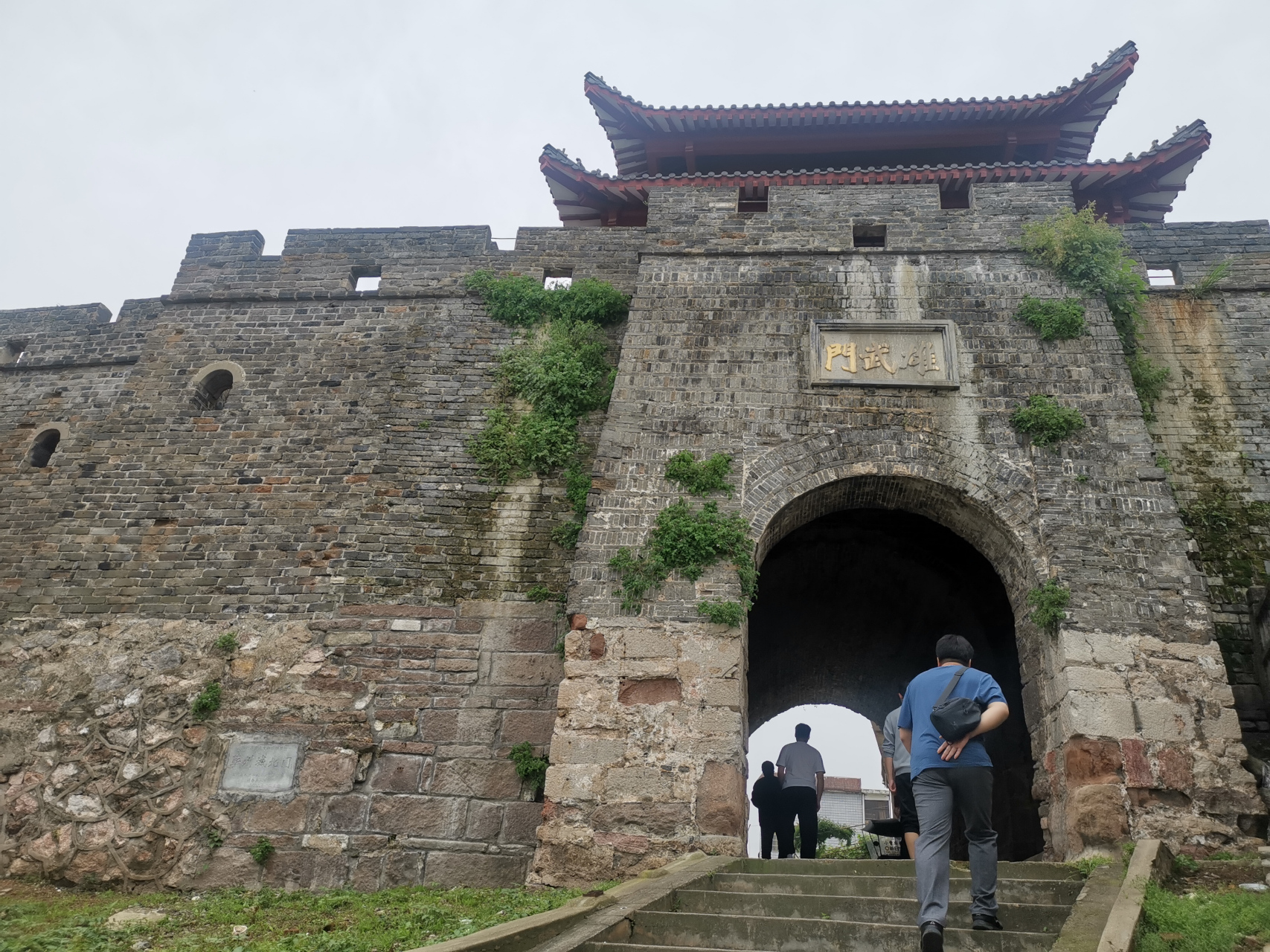 蕲州古城如今只剩下雄武门,高高耸立在山头之上,墙上长满了杂草,古韵