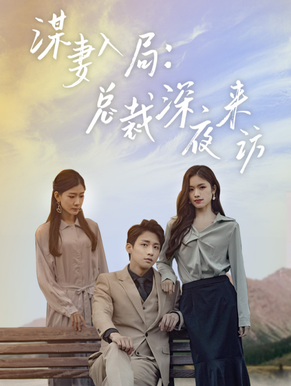 谋妻入局：总裁深夜来访