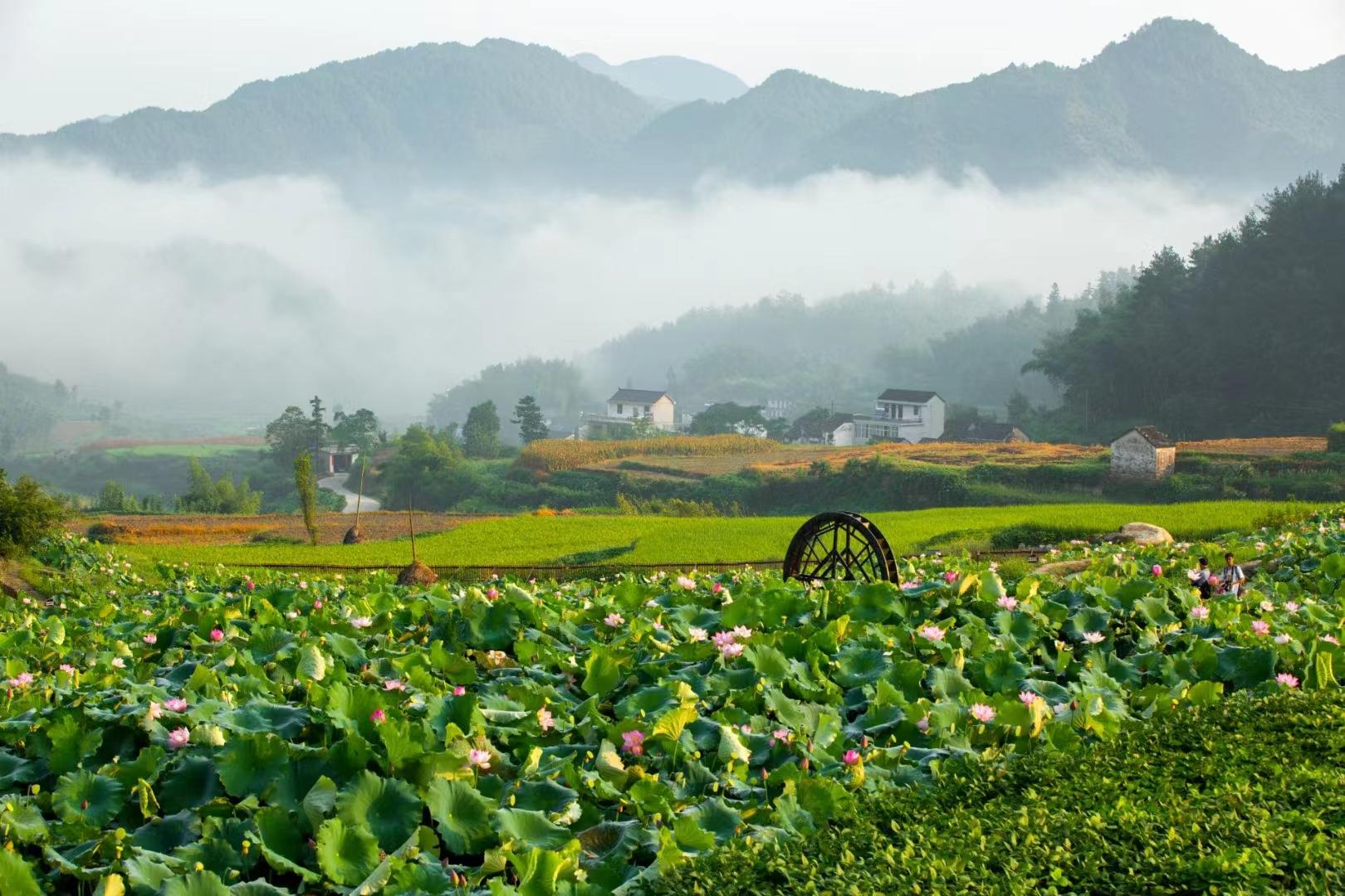 安徽绩溪:守住徽韵乡愁 激活乡村振兴新动能