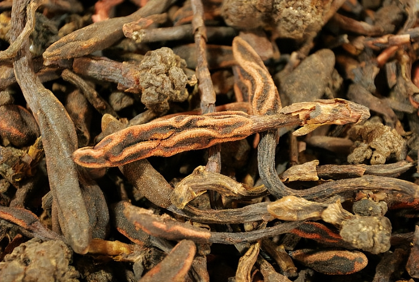 神奇鹿仙草:益肾养阴,清热止血的天然草药