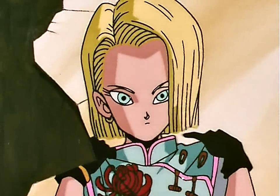 龙珠,前方高能,走进18号的私人生活