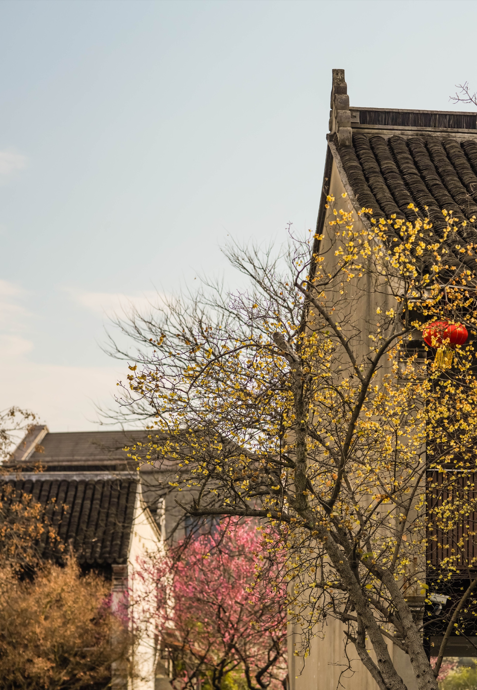 嘉兴传统建筑特色图片