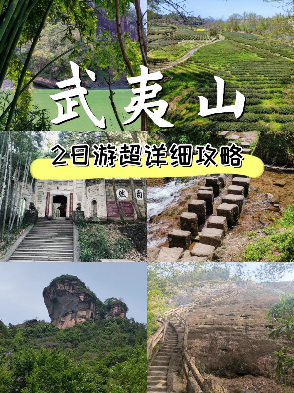 山清水秀,遍布茶园,漫步山野间,处处鸟啼声.