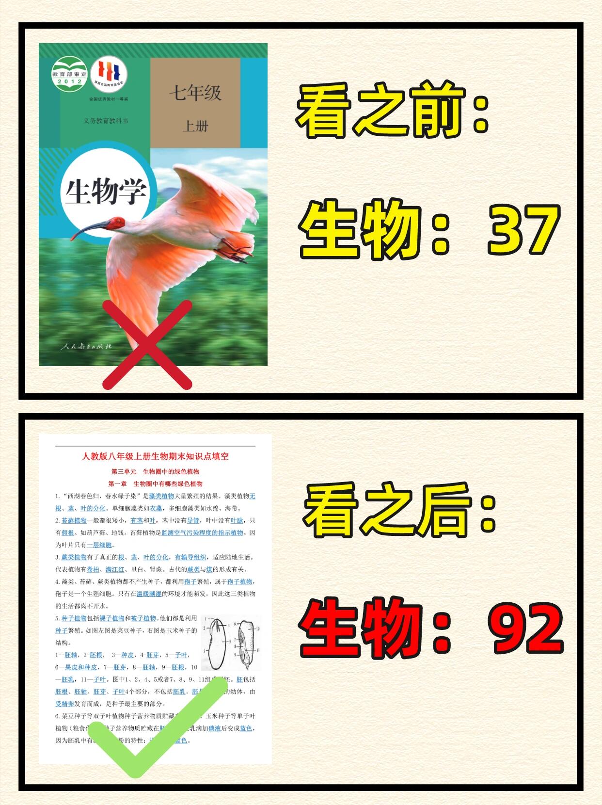 单细胞藻类如衣藻,多细胞藻类如水绵,海带.