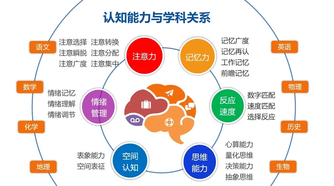 孩子各学科能考多少分,与以下几种认知能力的强弱有关大脑前额叶决定