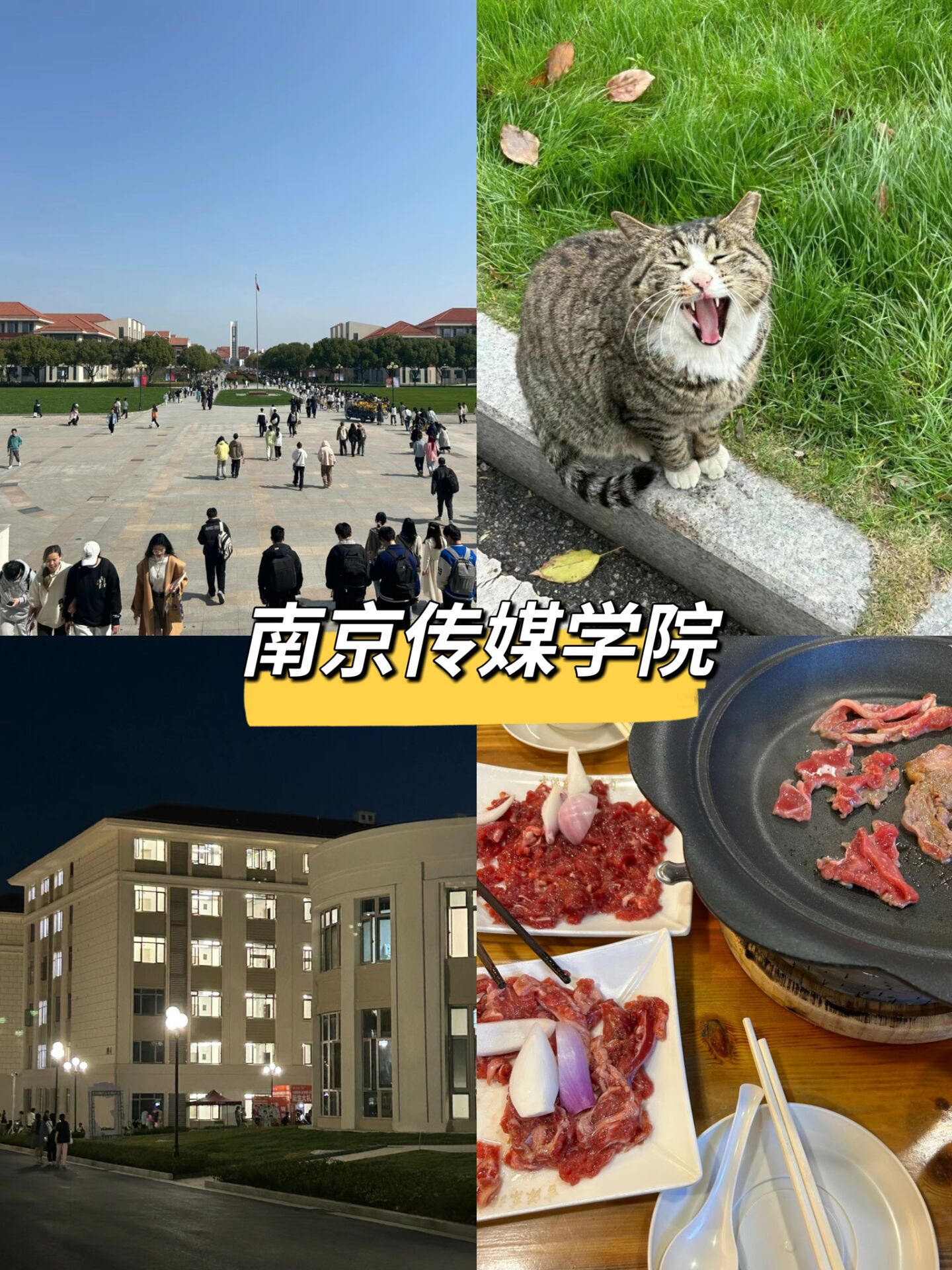 考生看过来:南京二本学校有哪些大学?