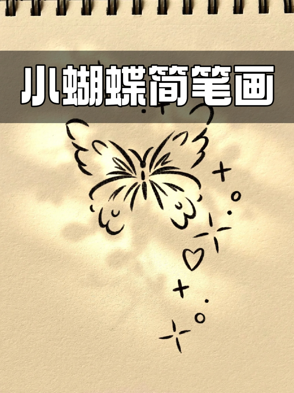 儿童蝴蝶简笔画简单图片