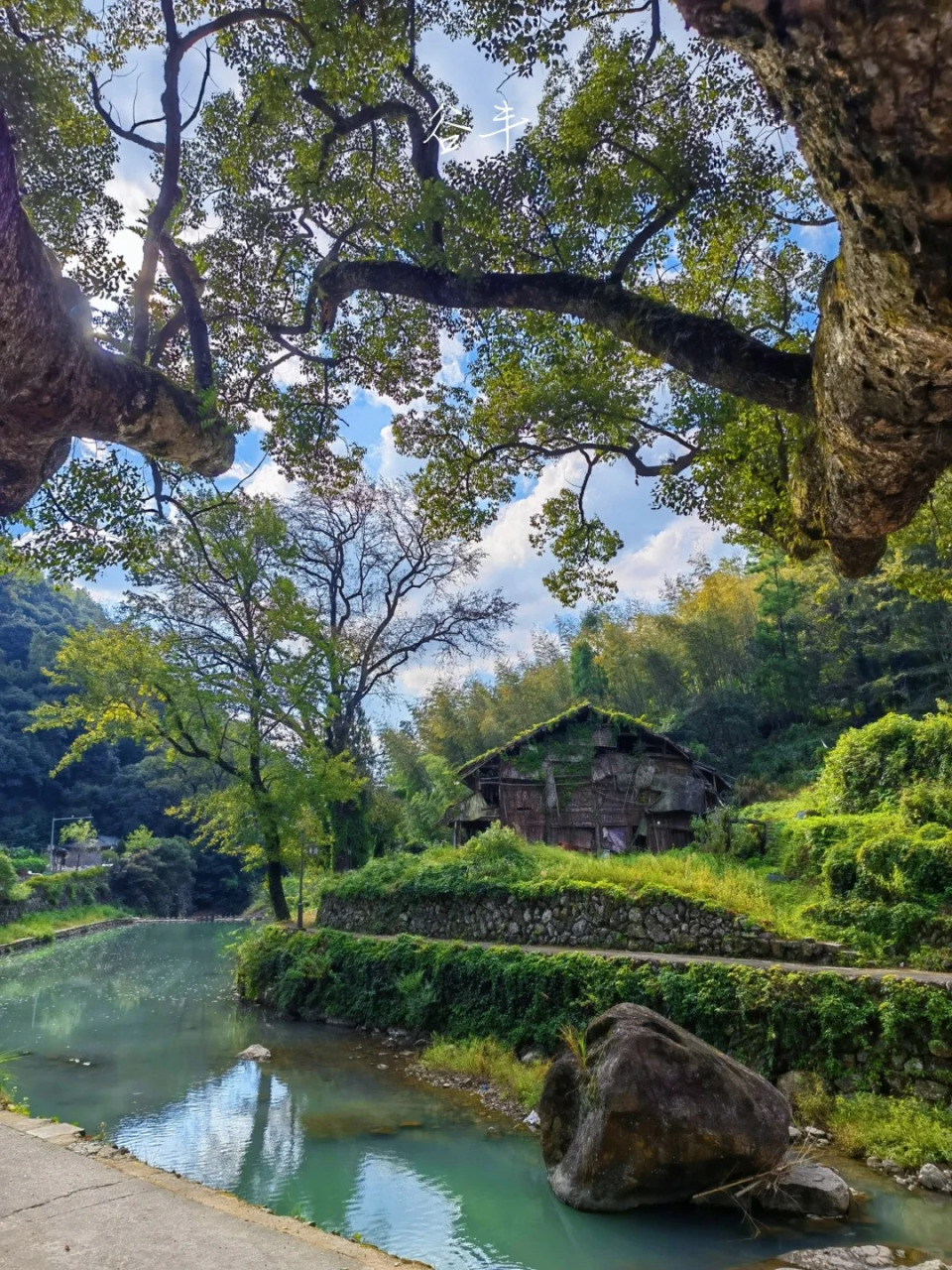 温州春风楠溪图片