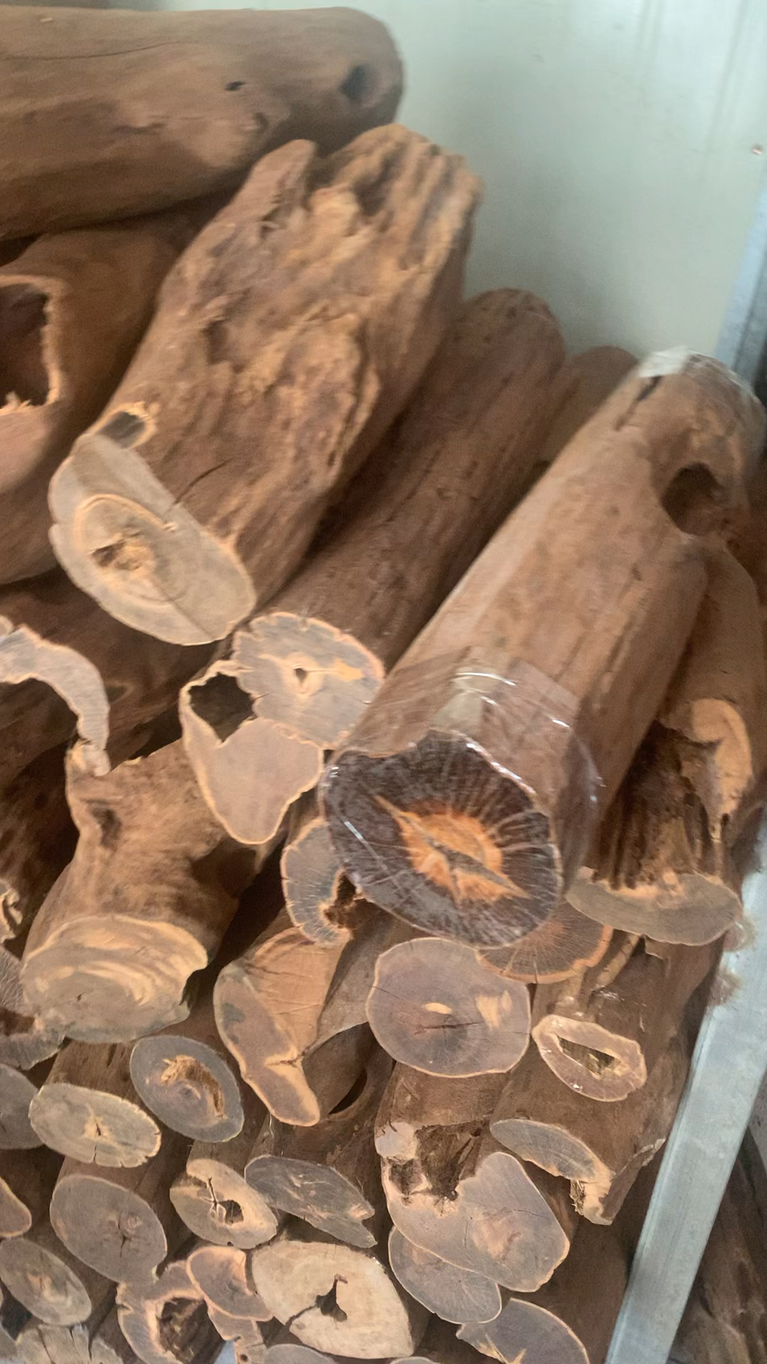 巴布亚贡木大料墩料来了,油性高,肉质满,加工2.0手串横财皆可