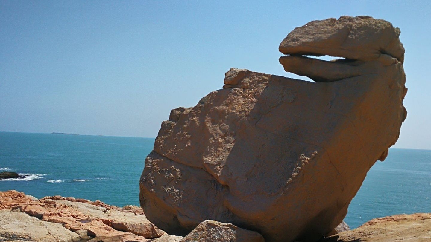 买了一堆书没读. 报了一堆课没上