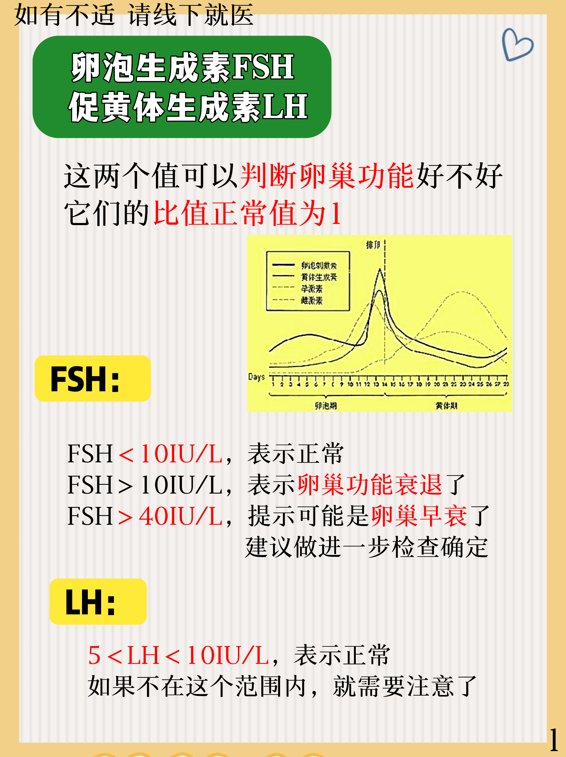 雄性激素和雌性激素图片