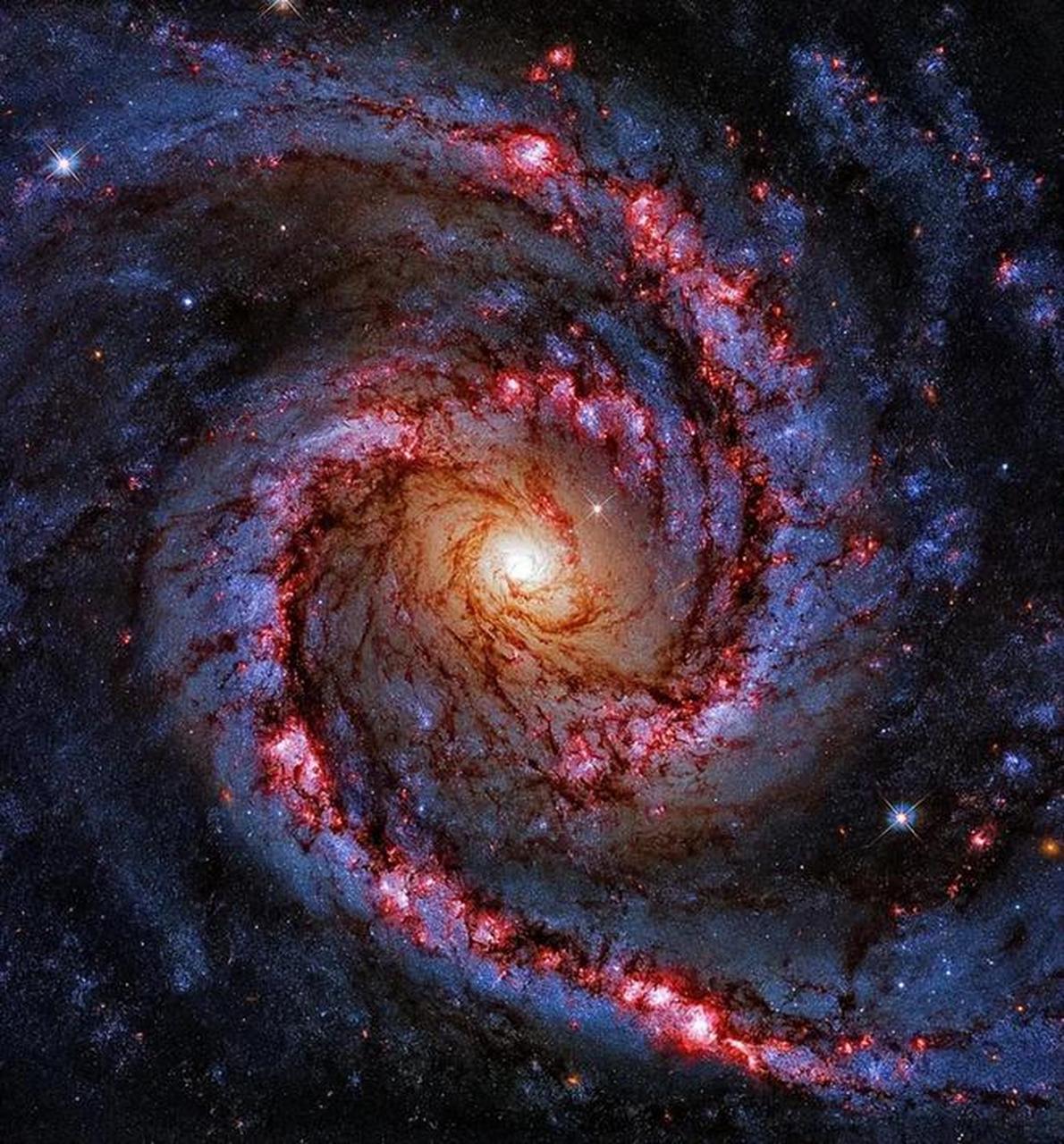 宇宙大揭秘!黑洞不存在?光速可变?