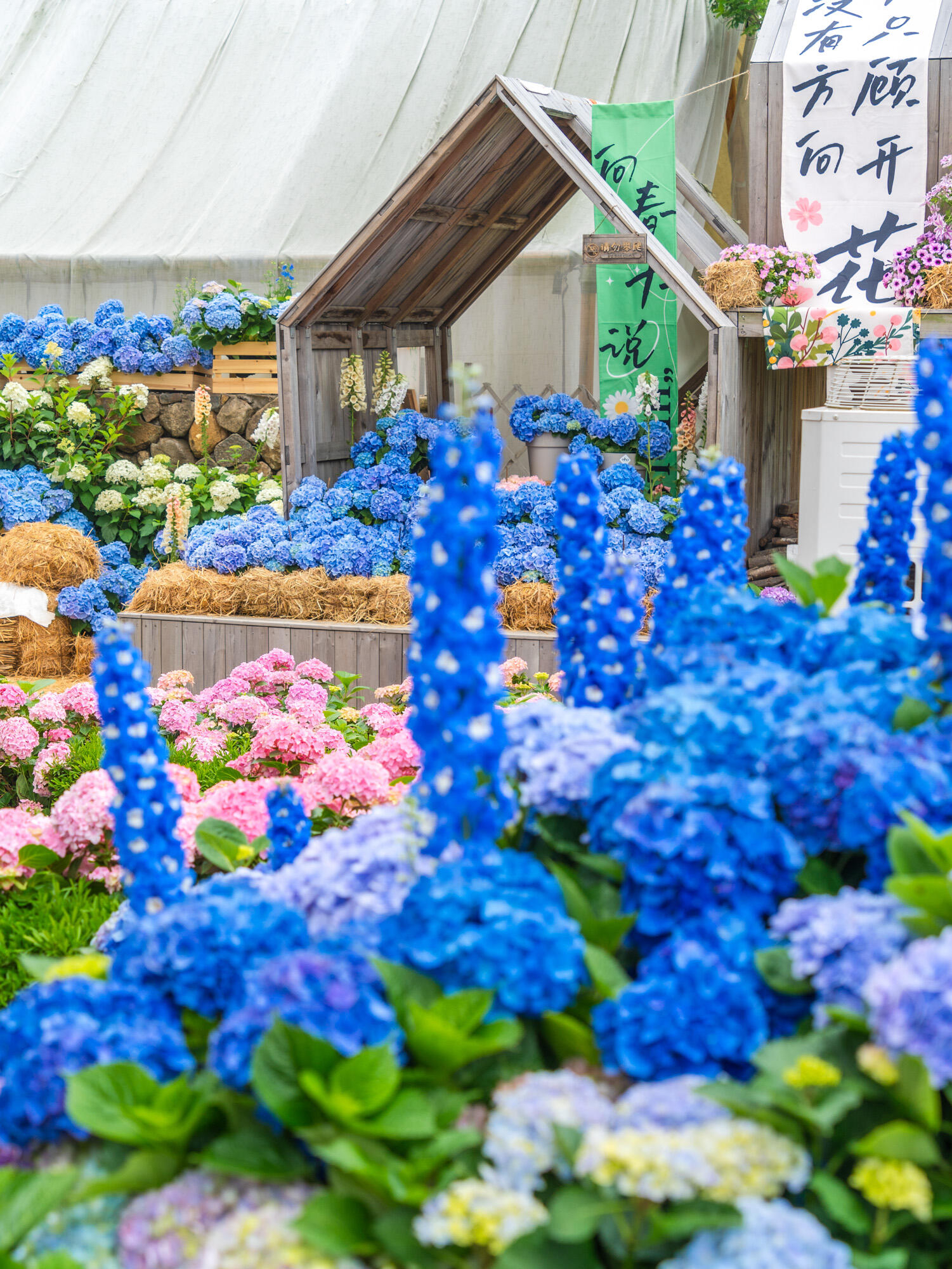 海宁国际花卉城 4.27-5.